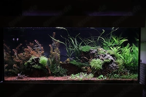 Aquarium Komplett mit allem drum und dran!