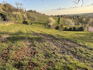 Freizeitgrundstück 1, Garten in Heppenheim zu verkaufen