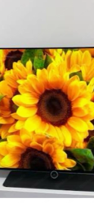 Suche die Überfrau ab 60 für immer...