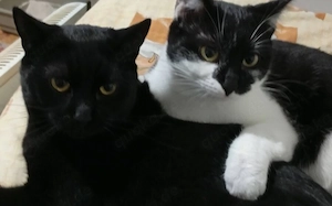 Traumpaar Elysia&Marcel