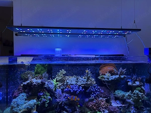 Straton Flex G102 2x vorhanden  JEWEILS 650