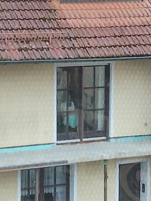 Ja? Ergänzt! Bitte an Frau Bersch... Rieden, hätten Sie heute kurz Zeit?