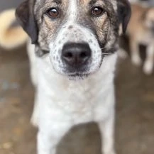 Maya B ca. 49 cm   die Unverwechselbare