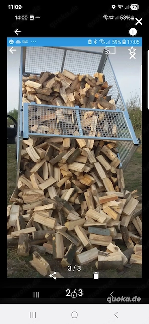 Buche und Esche Brennholz Bild 3