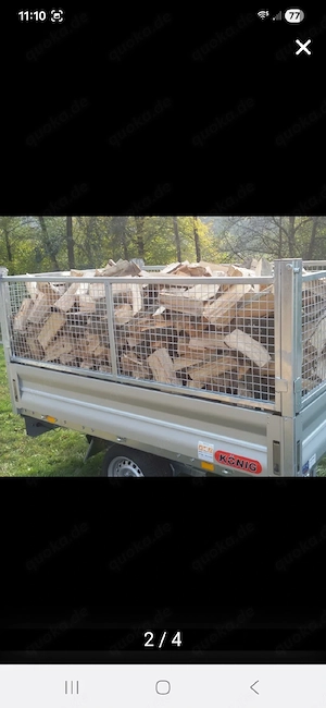 Buche und Esche Brennholz Bild 2