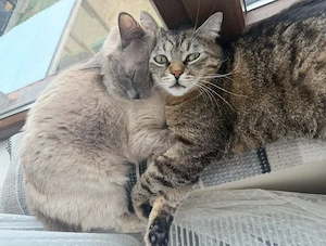 Masha & Momo - ein ganz entzückendes Geschwisterpaar 