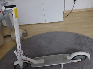 E scooter xiaomi 