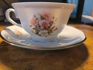 Ludwig Kamenz Tasse und Untertasse set