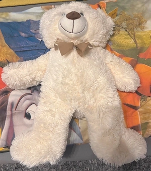 Teddybär mit Schleife