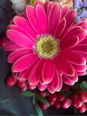 Suche liebevolle Frau ab 60 für immer...