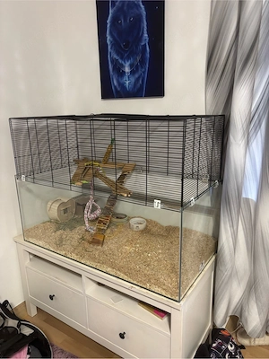 kleintierkäfig zu verkaufen 