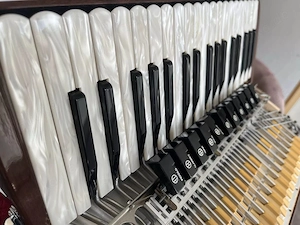 Top Akkordeon Alpenklang Polverini Cassotto Helikon HA1 Voci Armoniche Accordeon