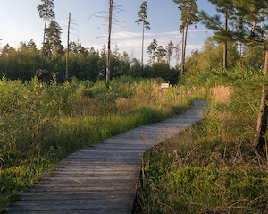  Du18+(W) hast wenig Zeit aber große Lust auf ein kleines geiles echtes Stelldichein ?