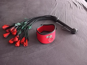 Weibliche Sub gesucht 