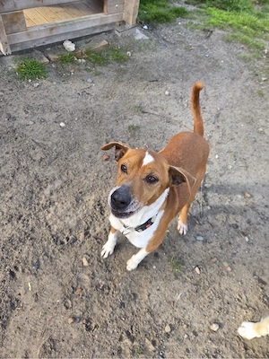 Dein bester Freund wartet auf Dich Bild 2