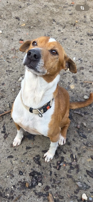 Dein bester Freund wartet auf Dich