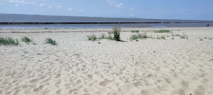 Ferienwohnung an der Nordsee Ostfriesland. Genieß Strand Meer Seeluft Ebbe und Flut gerne mit Hund  