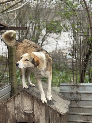 Ronja wartet auf ihren Frühling Bild 2