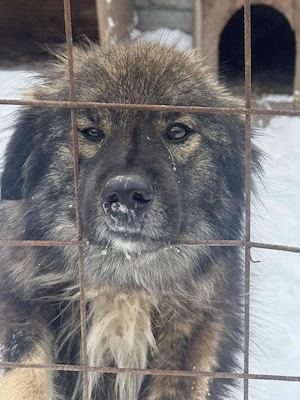 Betty wartet auf den Start ins Leben