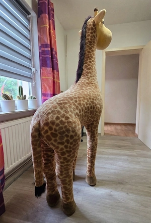 Rarität: XXL NICI Giraffe 200cm   Lebensgroßes Display-Modell   Ladenmodell Bild 3