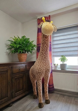 Rarität: XXL NICI Giraffe 200cm   Lebensgroßes Display-Modell   Ladenmodell