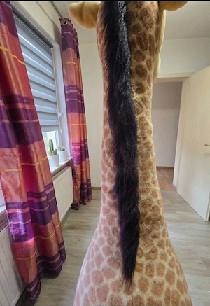 Rarität: XXL NICI Giraffe 200cm   Lebensgroßes Display-Modell   Ladenmodell Bild 5