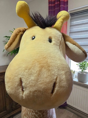 Rarität: XXL NICI Giraffe 200cm   Lebensgroßes Display-Modell   Ladenmodell Bild 2