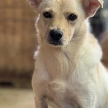 Mimi H ca. 43 cm   die Süße