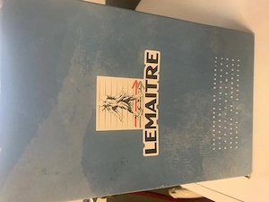 Sicherheitsschuhe  der Marke  "LE MAITRE"