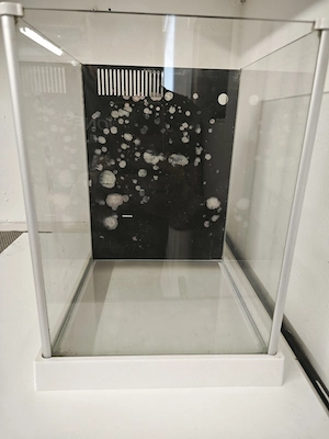 Nano Meerwasser Aquarium Komplettset Besatz möglich 