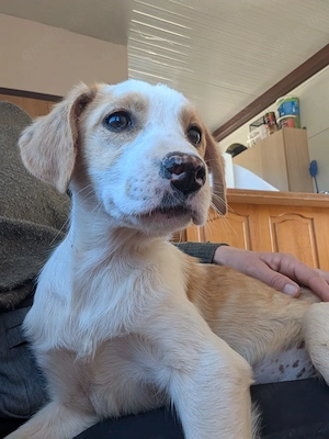 Fanni  kleines Mädchen auf der Suche nach Liebe 