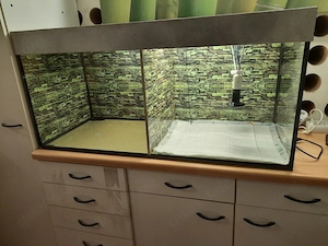 Küken Aufzucht   Terrarium 