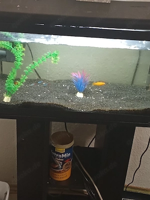 Aquarium mit Unterschrank 