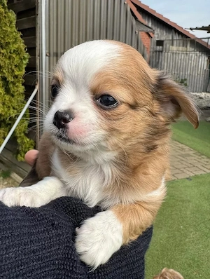 What time works best for you? We ll be happy to hold the dining table and chairs until you re availa