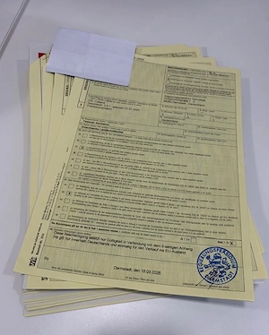 Griechische Landschildkröten Babys NZ 2025