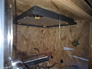 terrarium 1,20x60x60