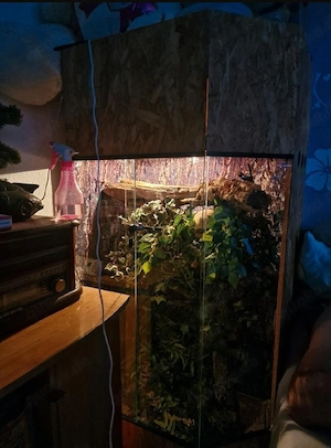 Verkaufe schönes großes Terrarium 