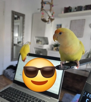 Rosenköpfchen Handzahm  Bild 5