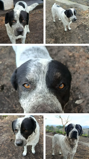 Notfall Rambo, 3 Jahre alt 