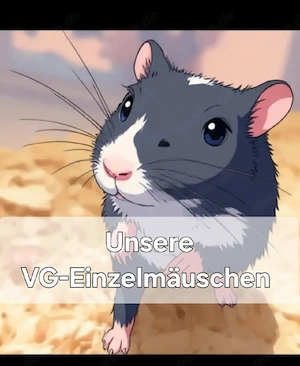 Rennmaus- VG Einzelmäuse 