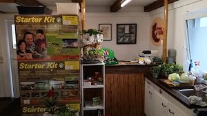 Dream Reptiles - Dein Terraristik Fachgeschäft seit 1996 Bild 5