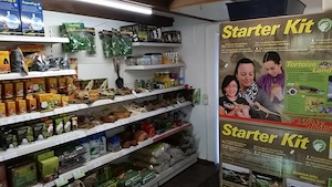 Dream Reptiles - Dein Terraristik Fachgeschäft seit 1996 Bild 4
