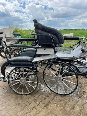 Marathonkutsche, Ein- und Zweispännig, sehr guter Zustand, ca. 250Kg