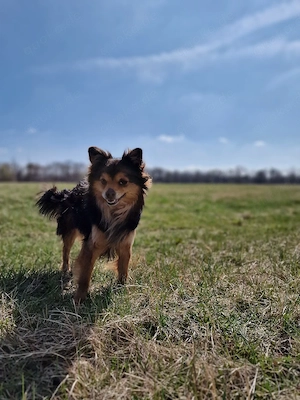 Gucci sucht sein Für-immer-Zuhause    Bild 3