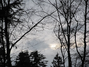 Die einfachen Momente des Lebens schätzen