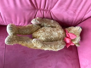Vintage Steiff Bär für Sammler, 60 cm gross, 1920 Bild 4