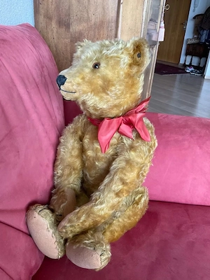 Vintage Steiff Bär für Sammler, 60 cm gross, 1920