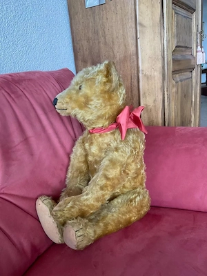 Vintage Steiff Bär für Sammler, 60 cm gross, 1920 Bild 2