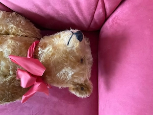 Vintage Steiff Bär für Sammler, 60 cm gross, 1920 Bild 3