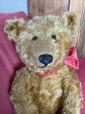 Vintage Steiff Bär für Sammler, 60 cm gross, 1920 Bild 10